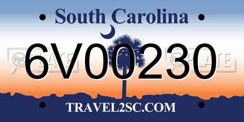 6V00230 South Carolina License Plate