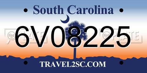 6V08225 South Carolina License Plate