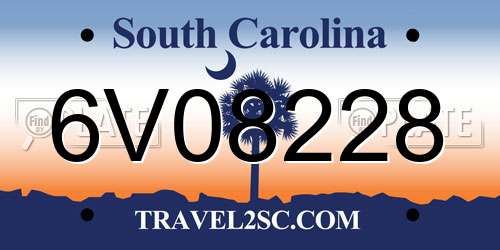 6V08228 South Carolina License Plate