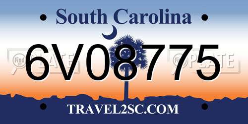 6V08775 South Carolina License Plate