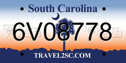 6V08778 South Carolina License Plate