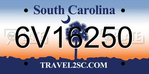 6V16250 South Carolina License Plate