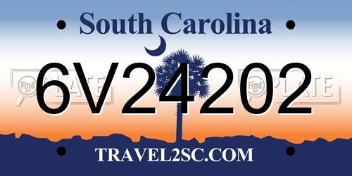 6V24202 South Carolina License Plate
