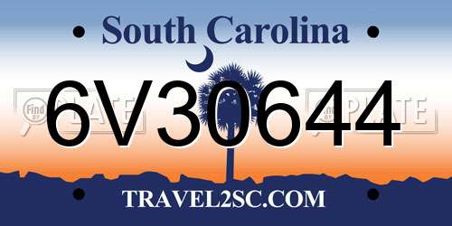 6V30644 South Carolina License Plate