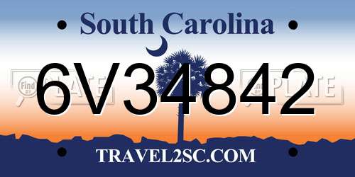 6V34842 South Carolina License Plate