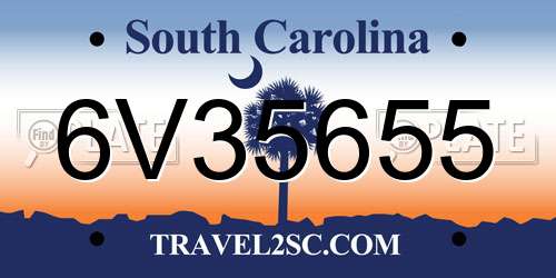 6V35655 South Carolina License Plate