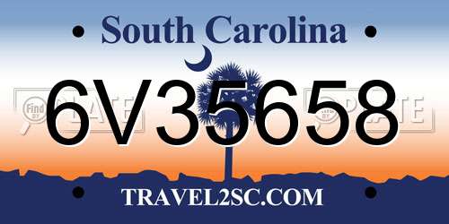 6V35658 South Carolina License Plate