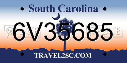 6V35685 South Carolina License Plate
