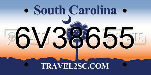 6V38655 South Carolina License Plate