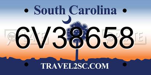 6V38658 South Carolina License Plate