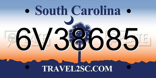 6V38685 South Carolina License Plate