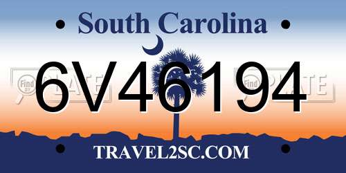 6V46194 South Carolina License Plate