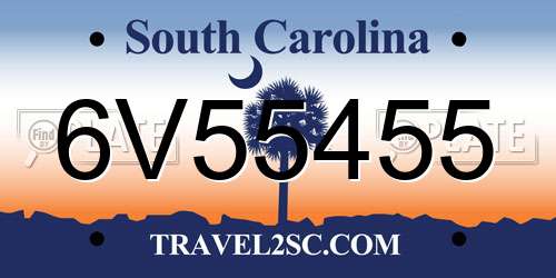 6V55455 South Carolina License Plate