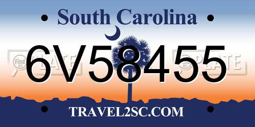 6V58455 South Carolina License Plate