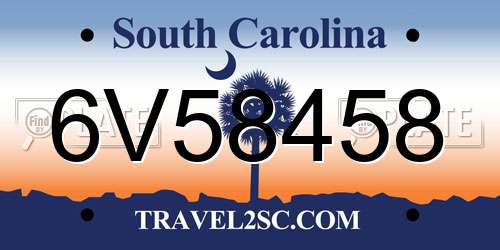 6V58458 South Carolina License Plate