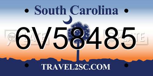 6V58485 South Carolina License Plate