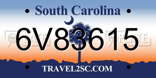 6V83615 South Carolina License Plate