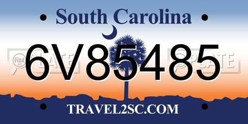 6V85485 South Carolina License Plate