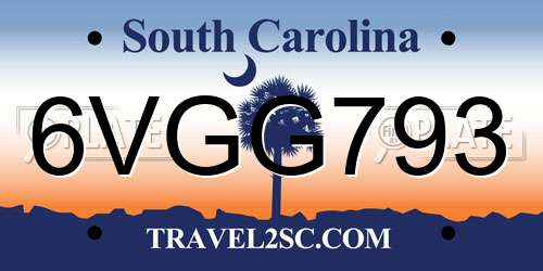 6VGG793 South Carolina License Plate