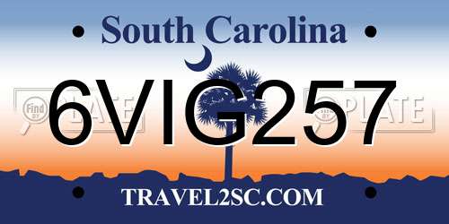 6VIG257 South Carolina License Plate