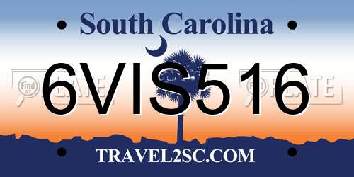 6VIS516 South Carolina License Plate