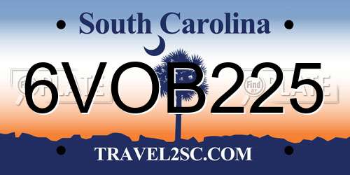 6VOB225 South Carolina License Plate