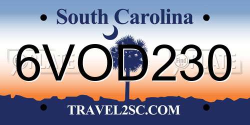 6VOD230 South Carolina License Plate