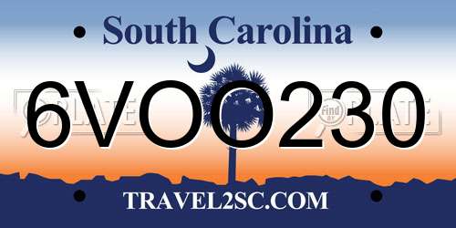 6VOO230 South Carolina License Plate