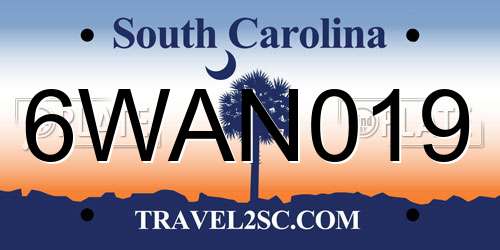 6WAN019 South Carolina License Plate