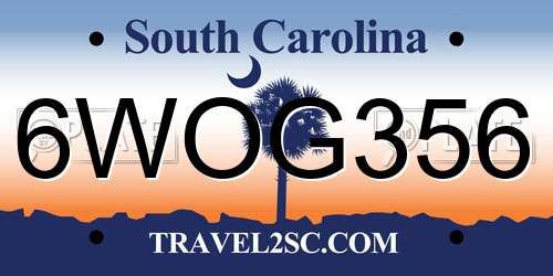 6WOG356 South Carolina License Plate