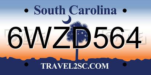 6WZD564 South Carolina License Plate