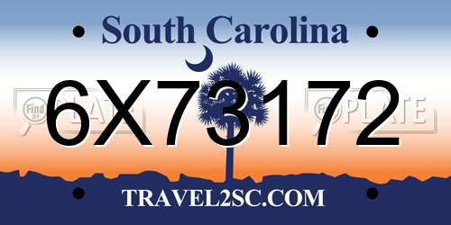 6X73172 South Carolina License Plate