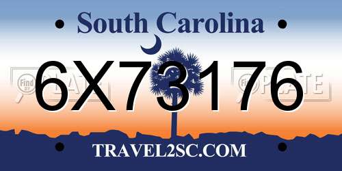 6X73176 South Carolina License Plate