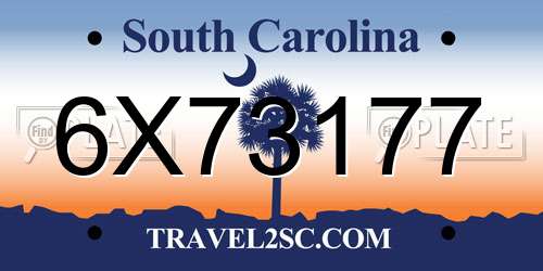 6X73177 South Carolina License Plate