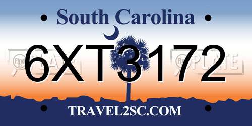 6XT3172 South Carolina License Plate