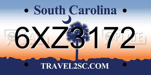 6XZ3172 South Carolina License Plate