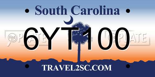 6YT100 South Carolina License Plate