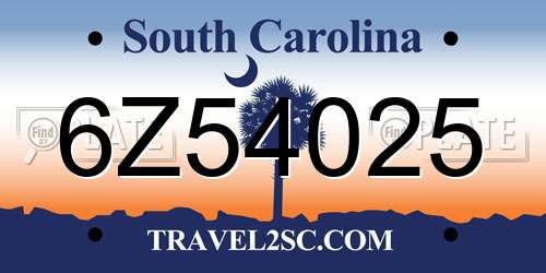 6Z54025 South Carolina License Plate
