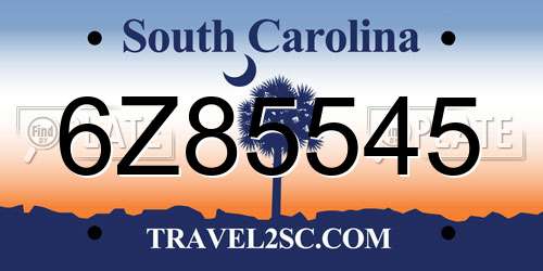 6Z85545 South Carolina License Plate