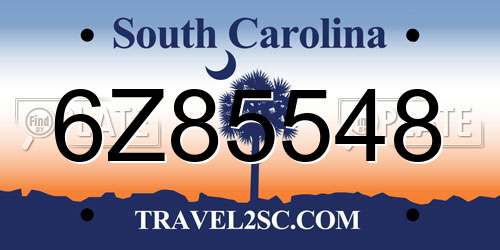 6Z85548 South Carolina License Plate