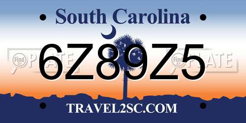 6Z89Z5 South Carolina License Plate