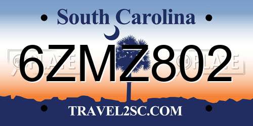 6ZMZ802 South Carolina License Plate