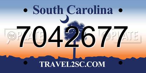 7042677 South Carolina License Plate