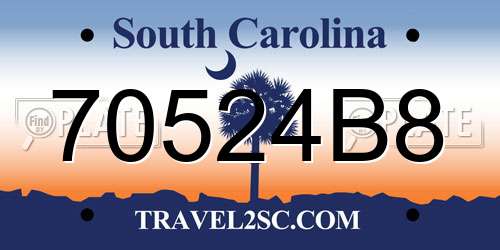 70524B8 South Carolina License Plate