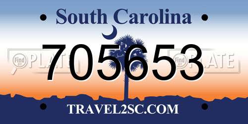 705653 South Carolina License Plate