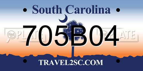 705B04 South Carolina License Plate