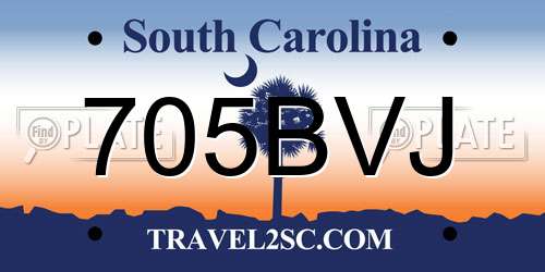 705BVJ South Carolina License Plate