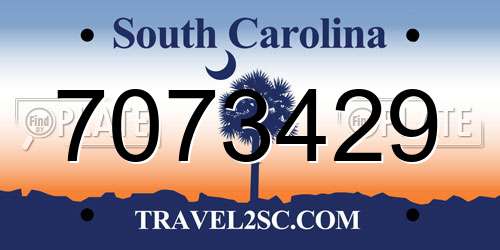 7073429 South Carolina License Plate