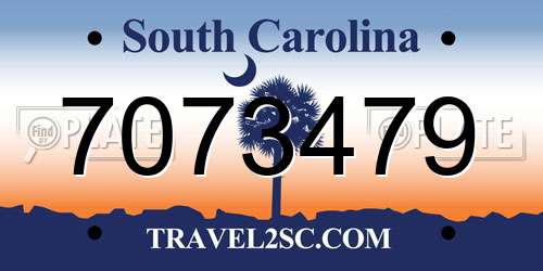 7073479 South Carolina License Plate