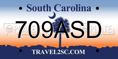 709ASD South Carolina License Plate